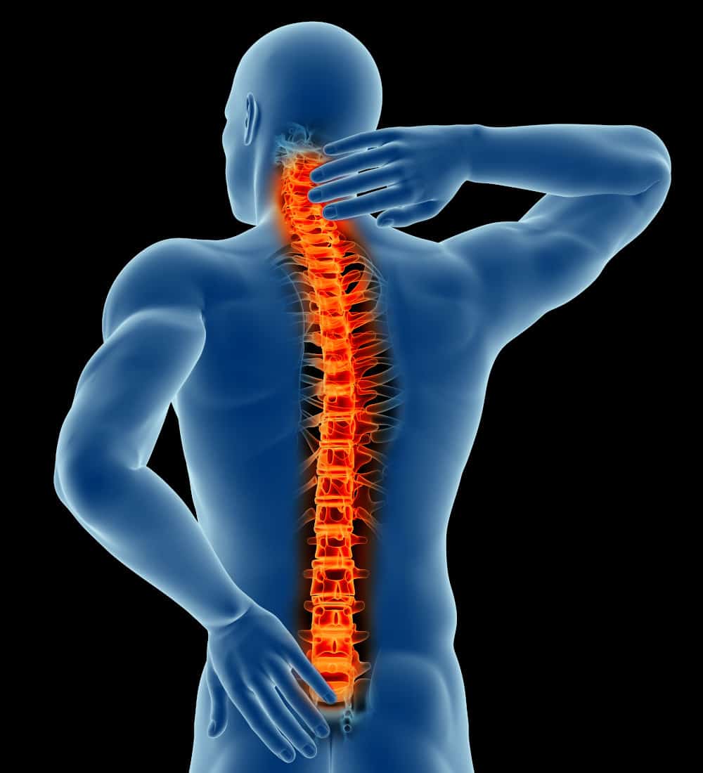 Graphic of Spine